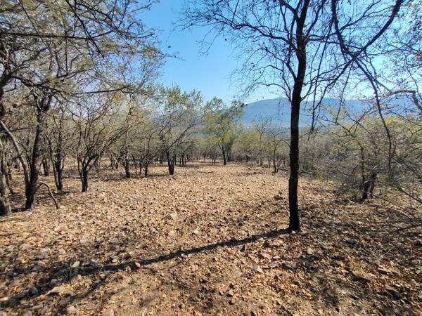 4 273 m² Land