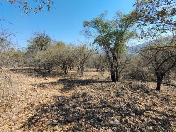 4 273 m² Land