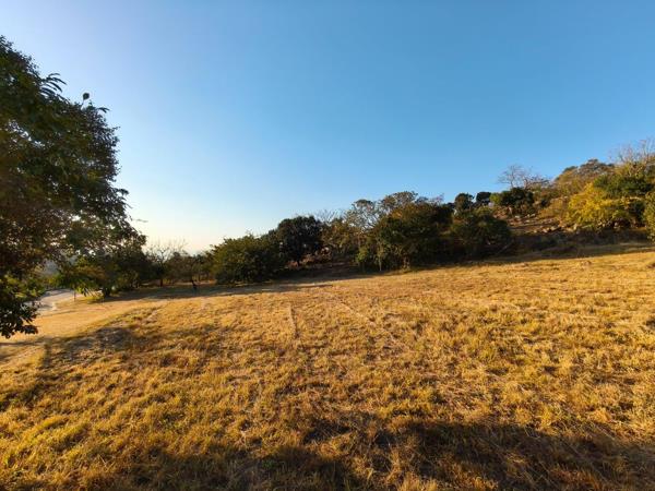 4 243 m² Land