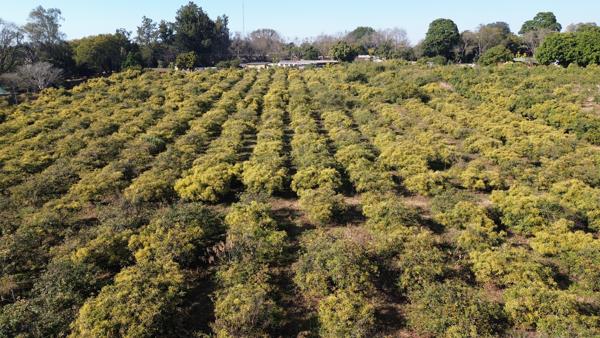 6 189 m² Agricultural Holding