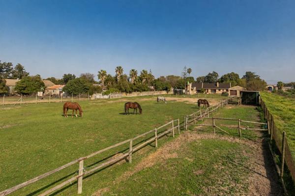 5 630 m² Smallholding