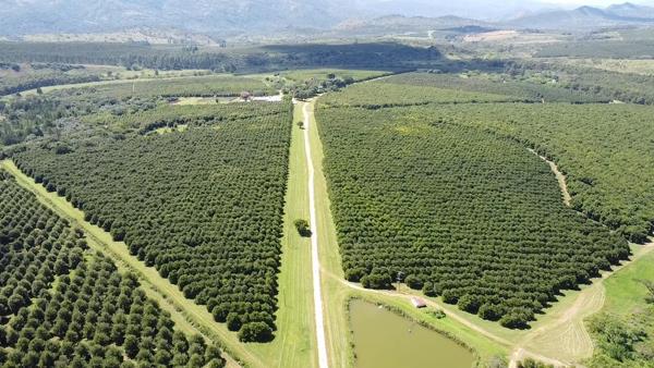303 m² Farm