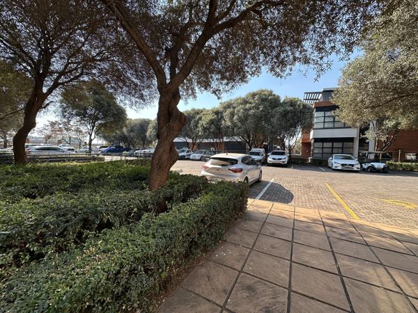 230.8 m² Commercial space