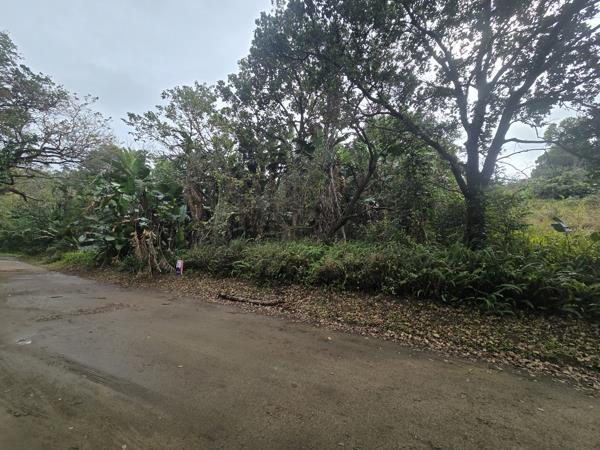 1 205 m² Land