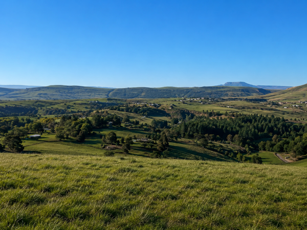 20 ha Farm