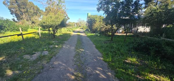 1.6 ha Farm