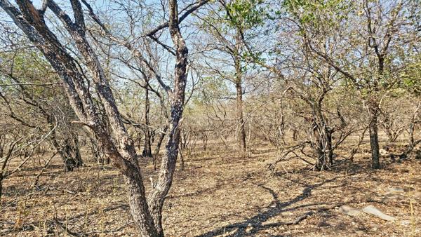 1 600 m² Land