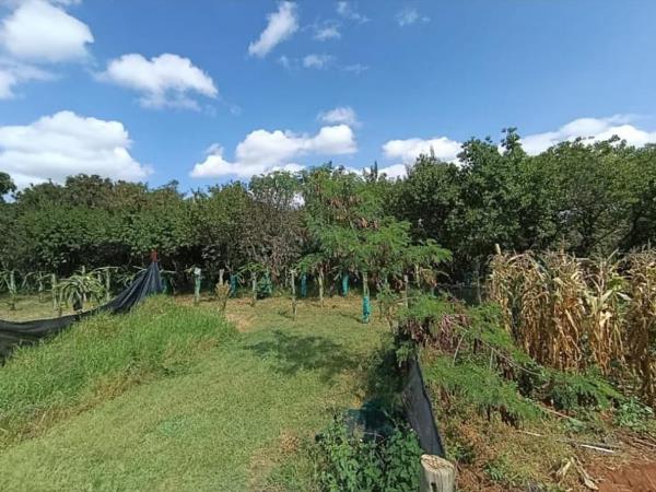2.9 ha Smallholding