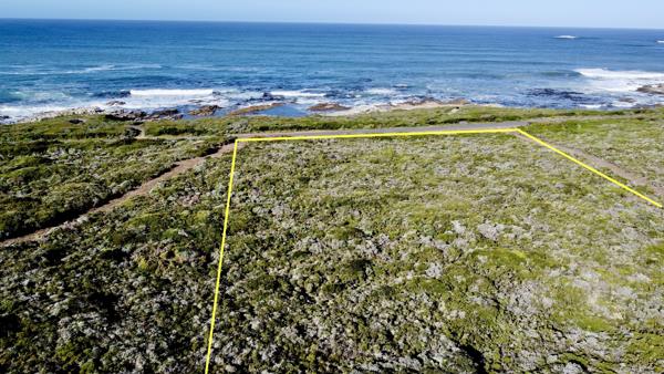 6.8 ha Land