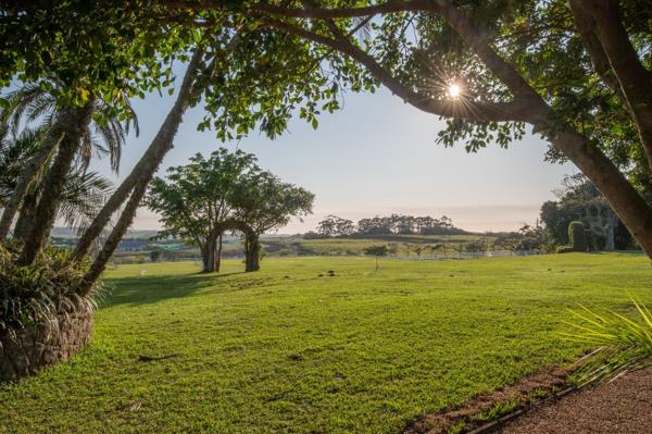 468 m² Land