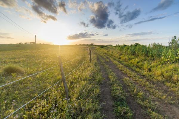 685 m² Land