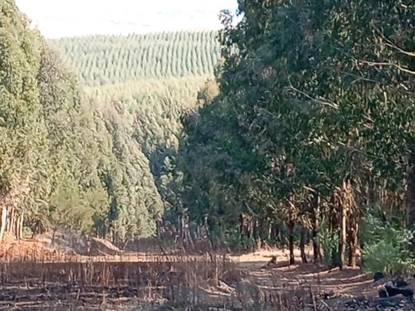 22.2 ha Land