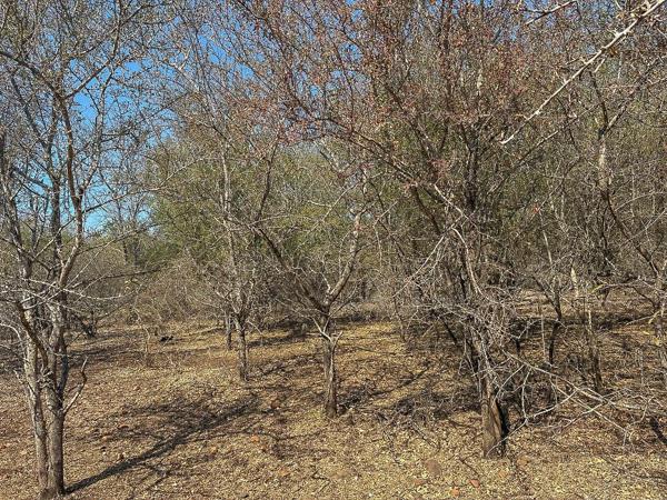 1 500 m² Land