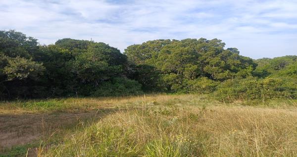 10 ha Land