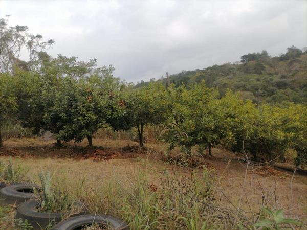 4.5 ha Farm