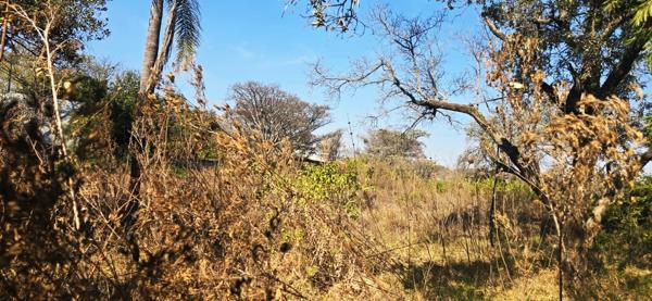 2 974 m² Land