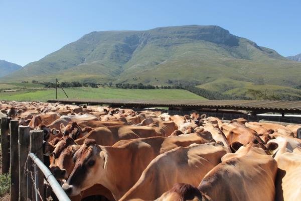 729.5 ha Farm
