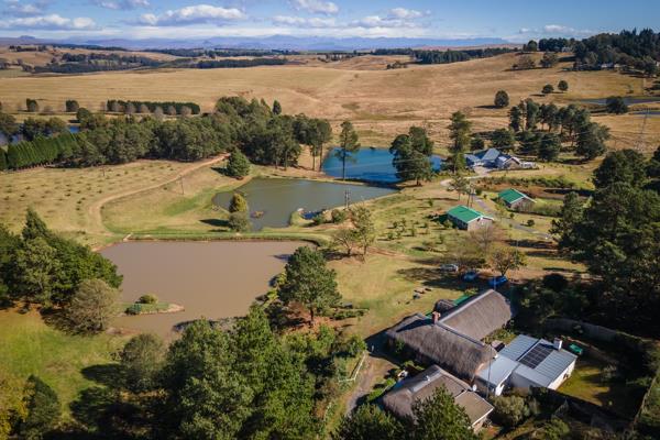11 ha Farm