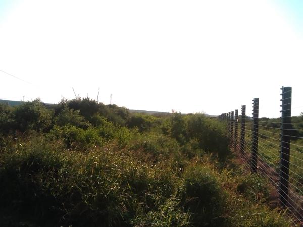 1 595 m² Land