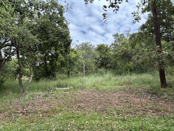 2 093 m² Land