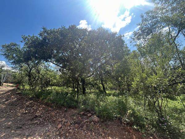 1 462 m² Land