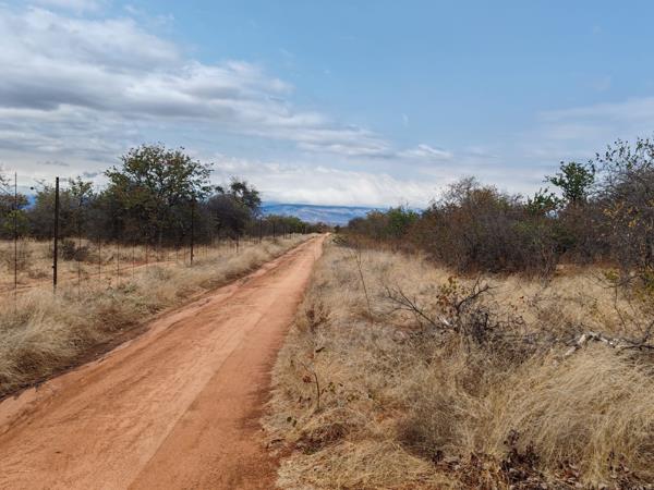 389 ha Farm