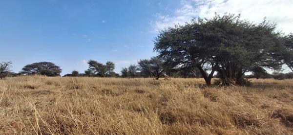 506 ha Farm