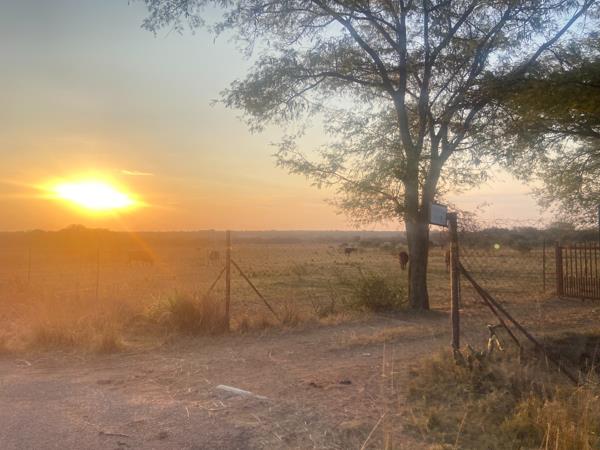 8.5 ha Agricultural Holding