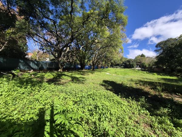 3 843 m² Land