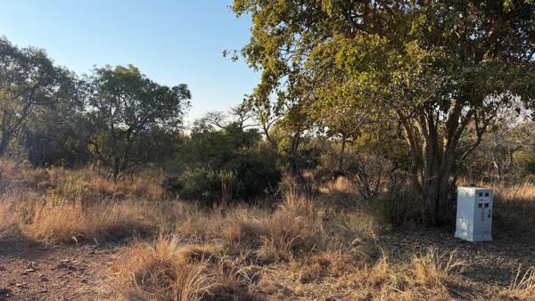 1 ha Land