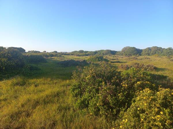 895 m² Land