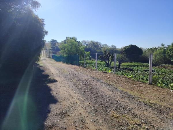 Farm
