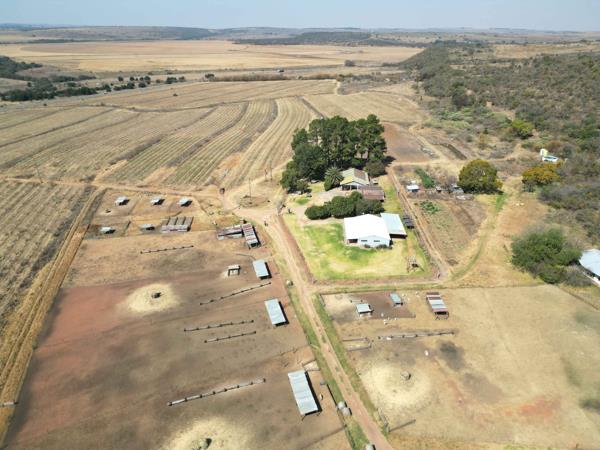 215 ha Agricultural Holding