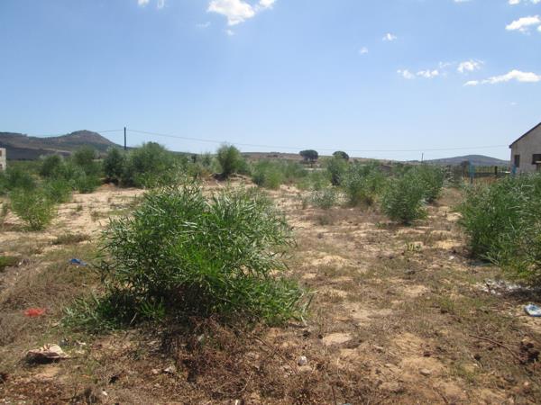 892 m² Land