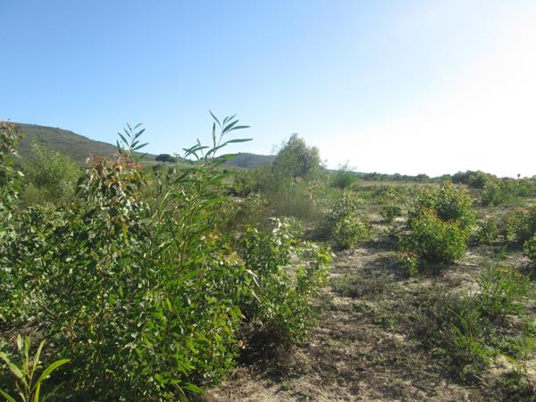 600 m² Land