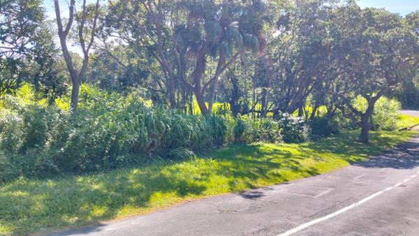 6 237 m² Land