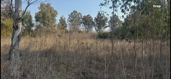 1 ha Land