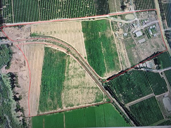 11 ha Farm