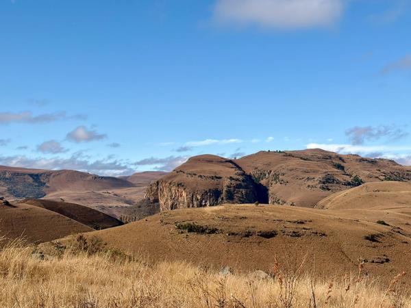 1 195 m² Land
