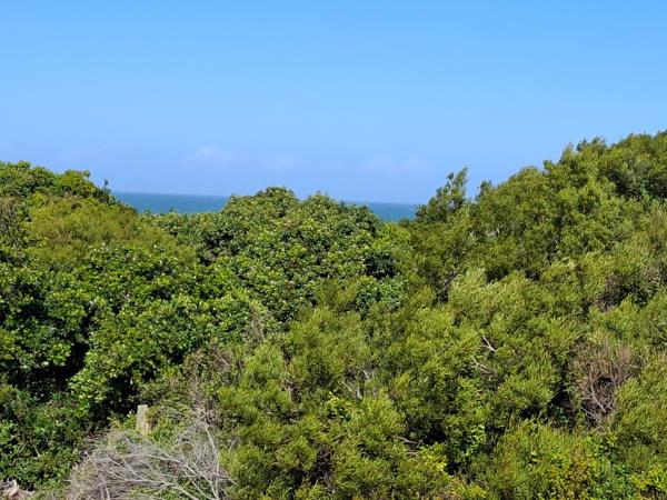 798 m² Land