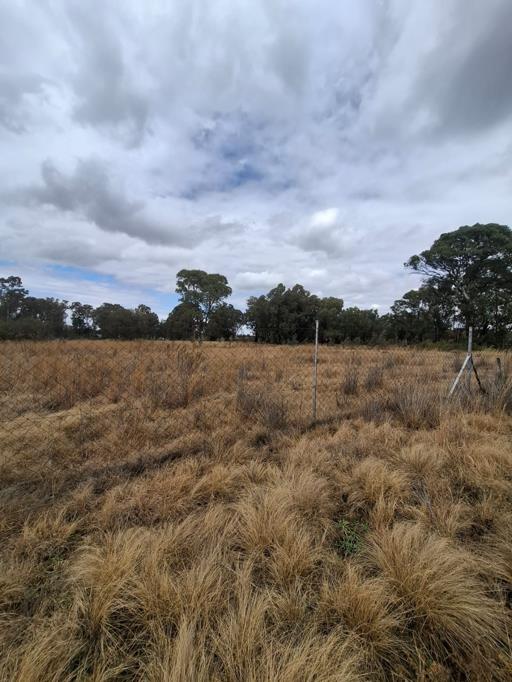 14 ha Farm with House