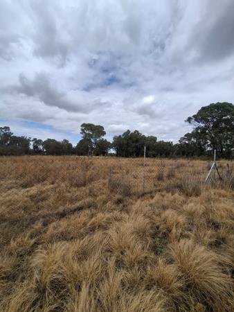 14 ha Farm with House