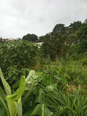 295 m² Land
