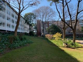 3 Bedroom Flat