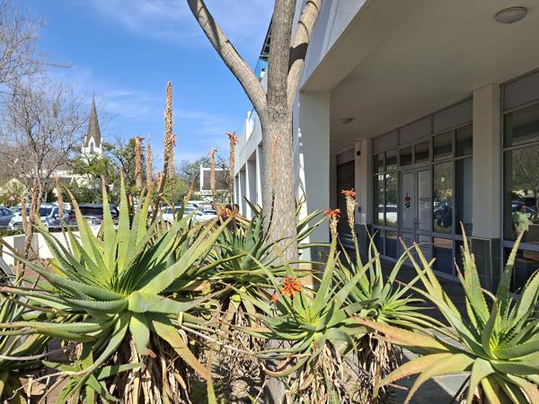 58 m² Commercial space