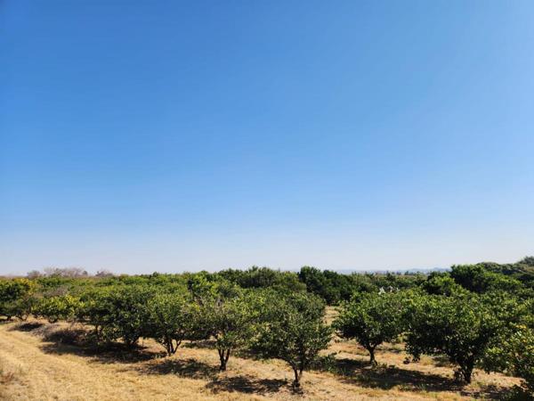8 ha Farm
