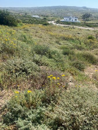 399 m² Land