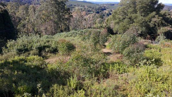 1.1 ha Land