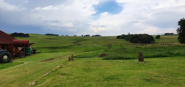 389 ha Farm