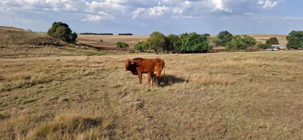 400 ha Farm